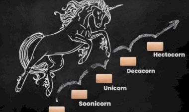 Navigating the Startup Galaxy: Different 'Corns' in the Indian Startup Ecosystem