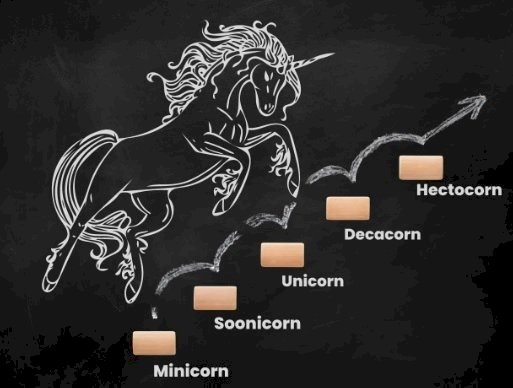 Navigating the Startup Galaxy: Different 'Corns' in the Indian Startup Ecosystem