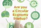 NURTURING SUSTAINABLE INNOVATIONS: CITYIMPACT - A CIRCULAR ECONOMY INCUBATION PROGRAM