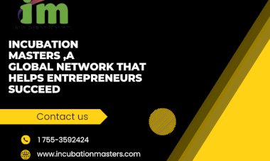 Navigating Challenges: How Incubation Masters' Consultancy Services Empower Startups