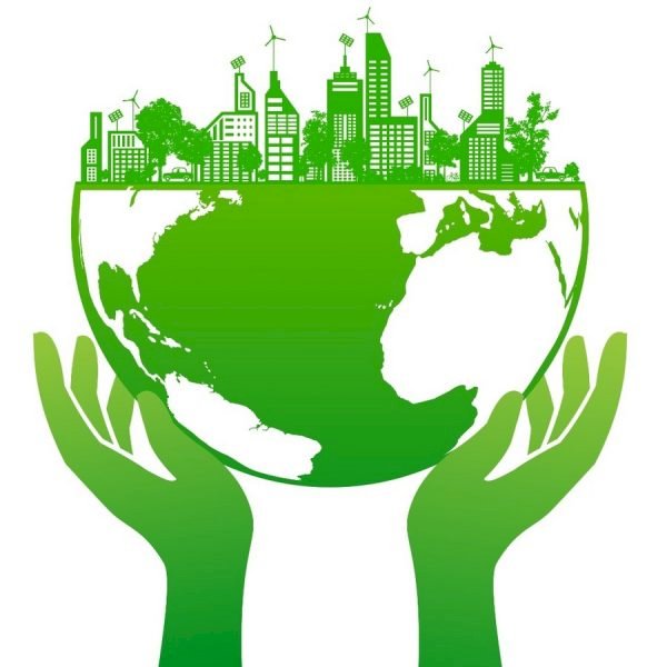 Growing Greener: Nurturing a Sustainable Startup Ecosystem for a Better Tomorrow