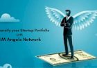 The Ultimate Guide to Diversifying Your Startup Investments: Strategies from IM Angels