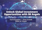 Unlocking Global Investment Opportunities with IM Angels
