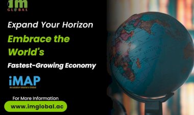 Cultural Intelligence: IM Global Accelerator's Key Strategies for International Business Success