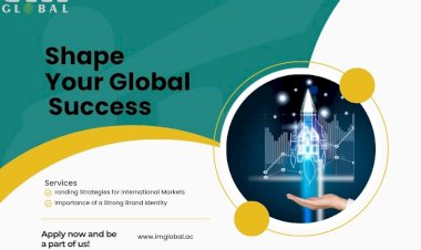 Building a Global Brand: How IM Global Startup Accelerator Shapes Startup Success in 2024