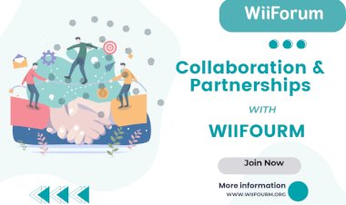Boosting Innovation Ecosystems: How WIIFOURM Empowers Incubators