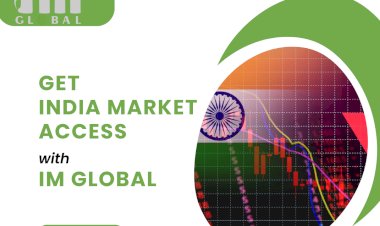 Breaking into India: How Global Cohorts of IM Global Can Help