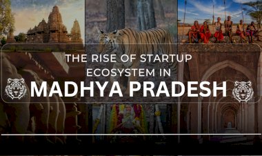 The Rise of Startup Ecosystem in Madhya Pradesh