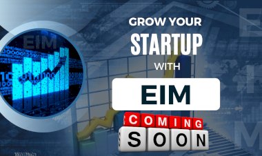 From Idea to IPO: Elevate with Incubation Masters EIM's All-in-One Solution