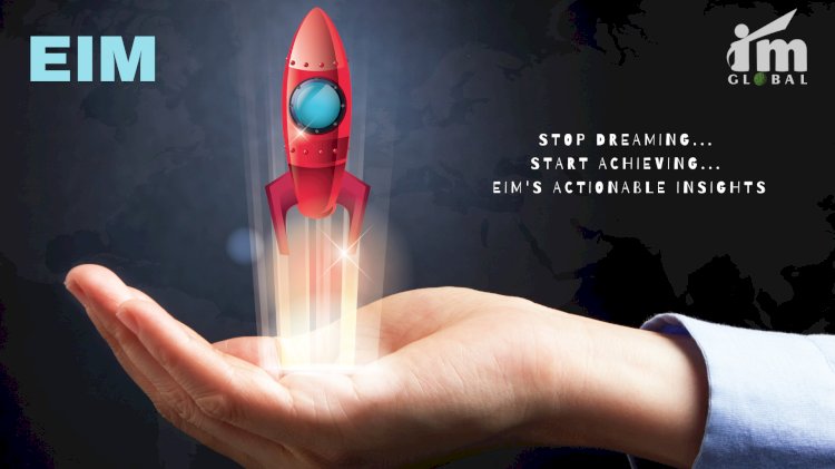 Stop Dreaming, Start Achieving: EIM's Actionable Insights