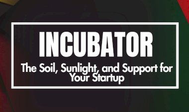 From Idea to Impact: How Incubators Help Startups Grow