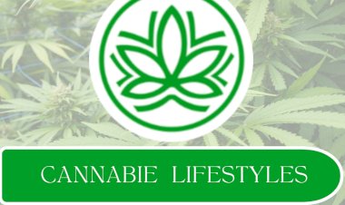 Cannabie Lifestyle — Fashion That’s Good for the Planet!