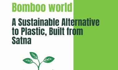 Bomboo World: Crafting Sustainable Alternatives for a Plastic-Free Future